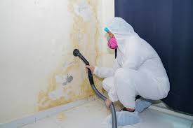 Best Environmental Consulting for Mold Prevention  in Nassau Village Ratliff, FL